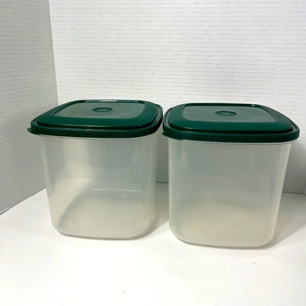 Set Of 2 Food Storage Container With Green Lid 6.5
